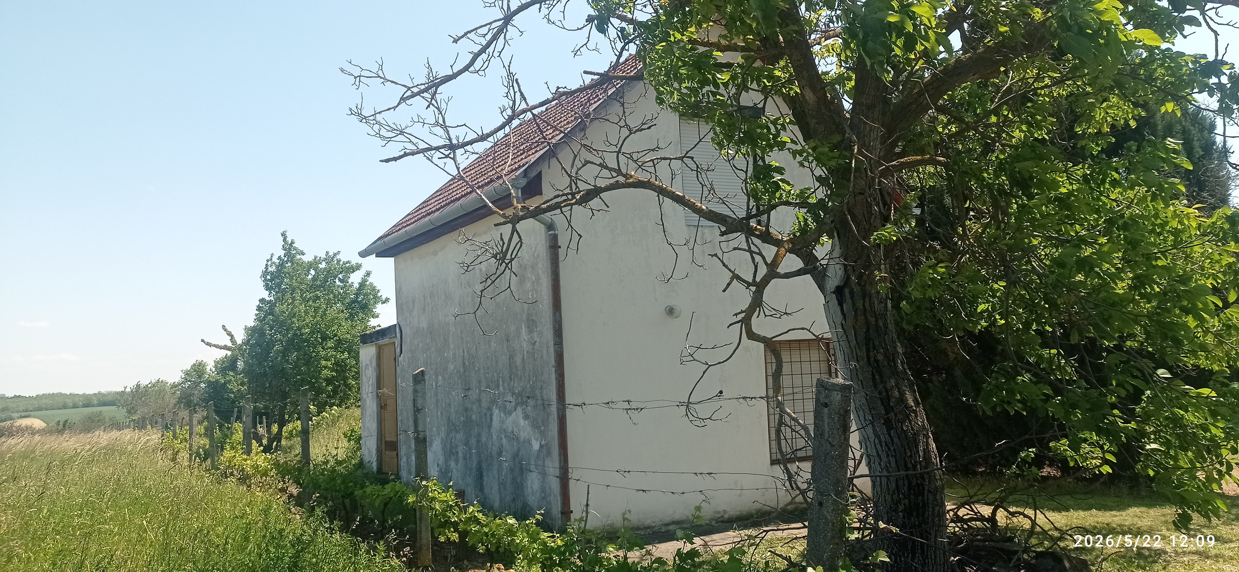 Galéria kép